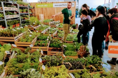 7e4441a6a487b929b11ff32734fe498b